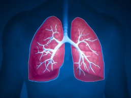 如何提高小细胞肺癌生存期？
