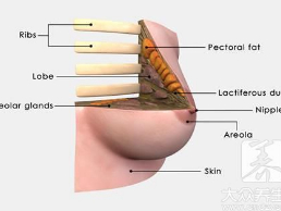 乳房的變化你要知道，不然就乳腺癌了