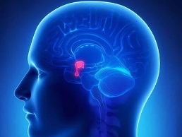 脑垂体腺瘤引发什么并发症？